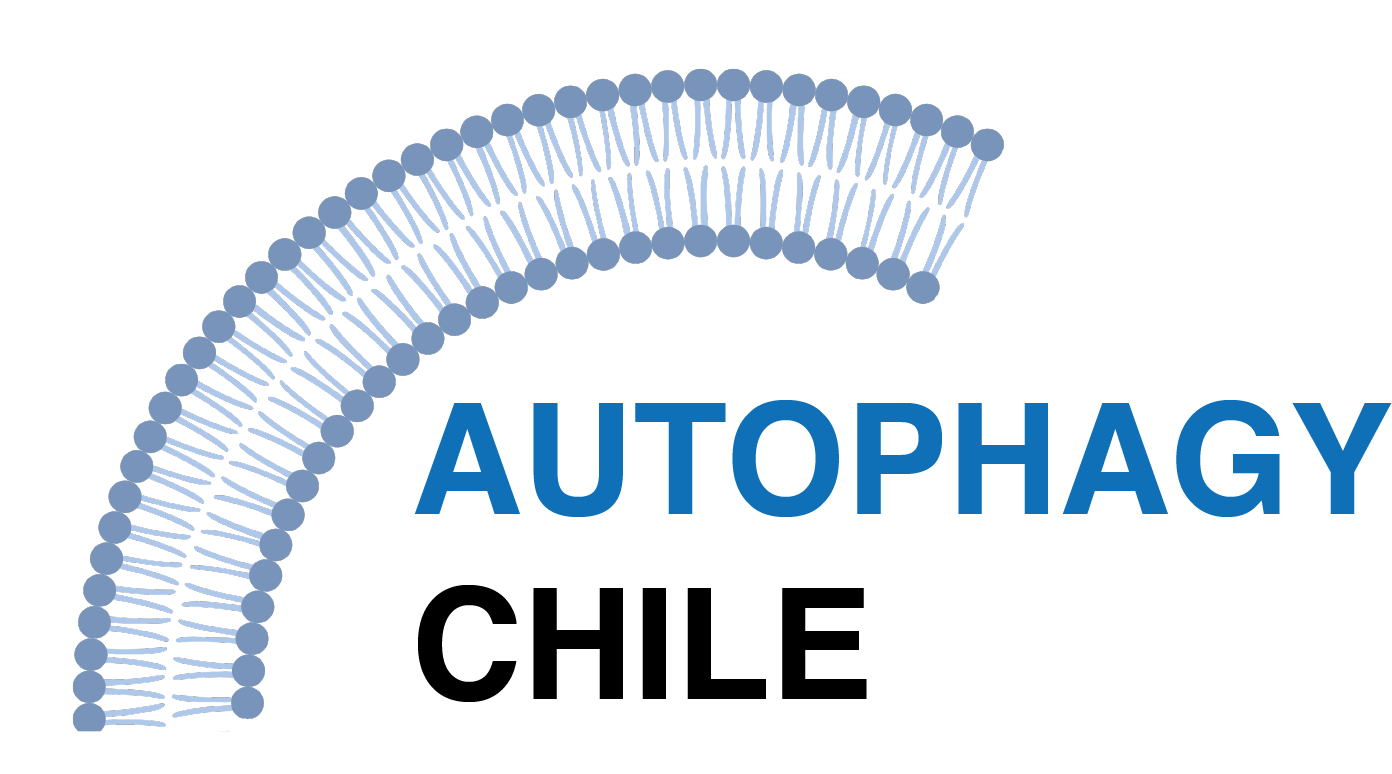 Autophagy Chile